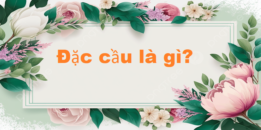 Đặc cầu là gì