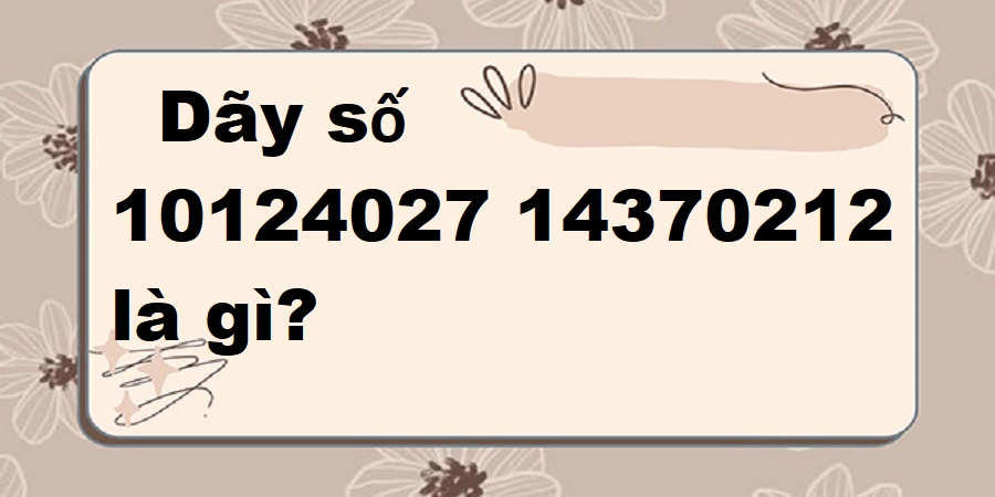 Dãy số 10124027 14370212 là gì?