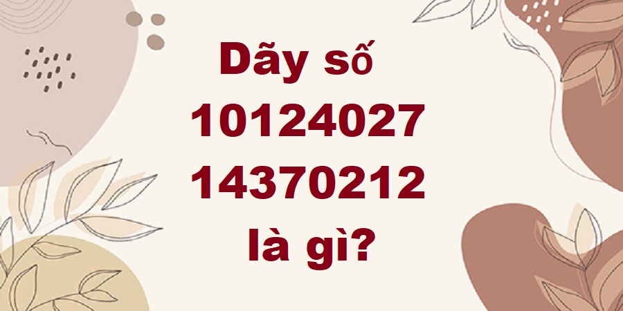 Dãy số 10124027 14370212 là gì?