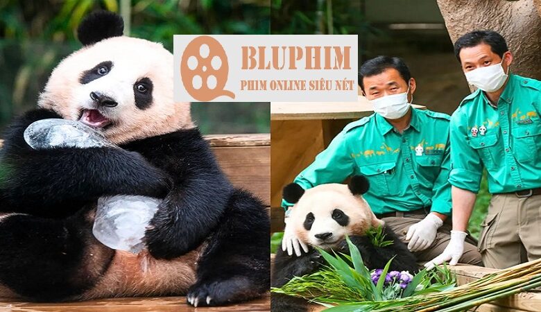 Phim Chiếu Rạp 'Bảo Bối Của Ông - Fu Bao' Tại Cần Thơ